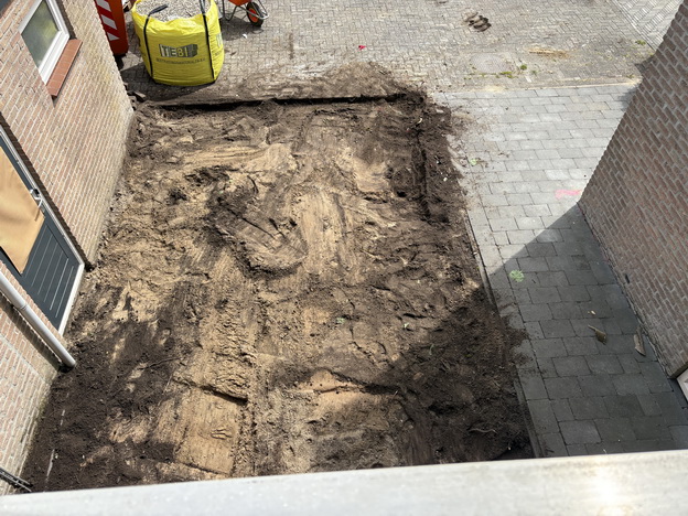 Tuin